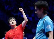 米兰APP下载-瑞典队逆转葡萄牙队，樊振东扛起全队