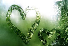 米兰,-世界杯之夜，字母哥的教科书级表现照亮美加墨赛场